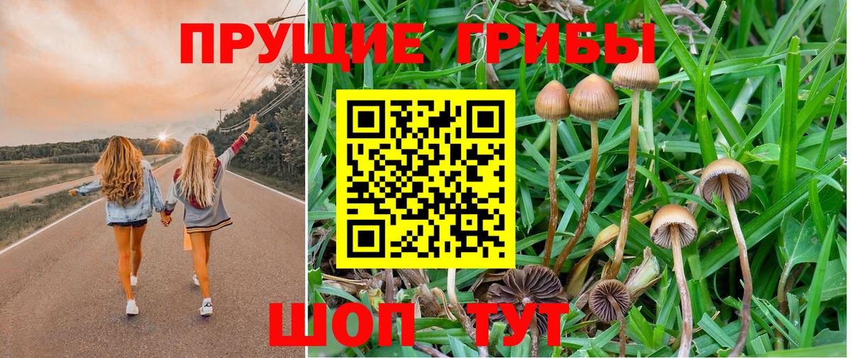 Псилоцибиновые грибы ЛСД  Псилоцибиновые грибы Psilocybine cubensis  Вход с VPN  Медногорск 