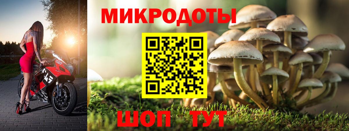Псилоцибиновые грибы Psilocybine cubensis Медногорск